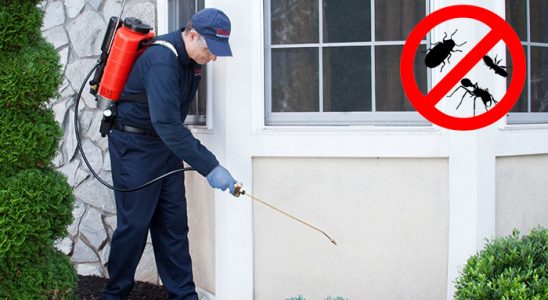 Çatalca Dezenfeksiyon böcek ilaçlama ve haşere kontrolü — ilaclama-tr.com
